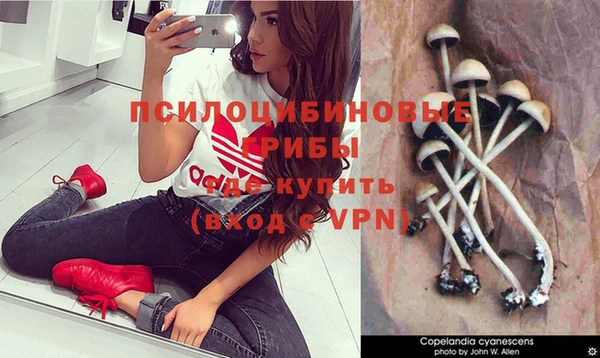 ГАЛЛЮЦИНОГЕННЫЕ ГРИБЫ Арсеньев