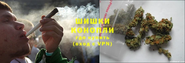 гашик Аркадак