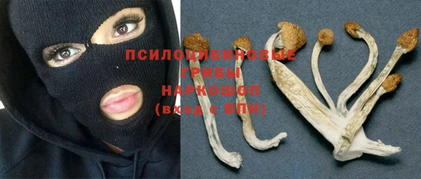 прущая мука Баксан
