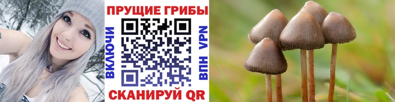 площадка наркотические препараты  Уяр  Псилоцибиновые грибы мухоморы 